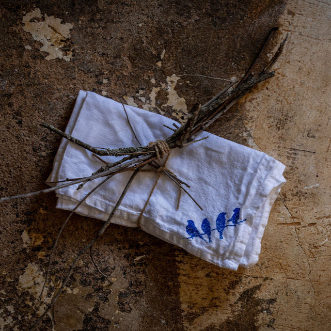 BIRD: Eco-Conscious Napkins- Sold as a Bundle of 4